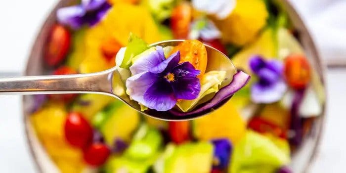 Edible Flowers 2022